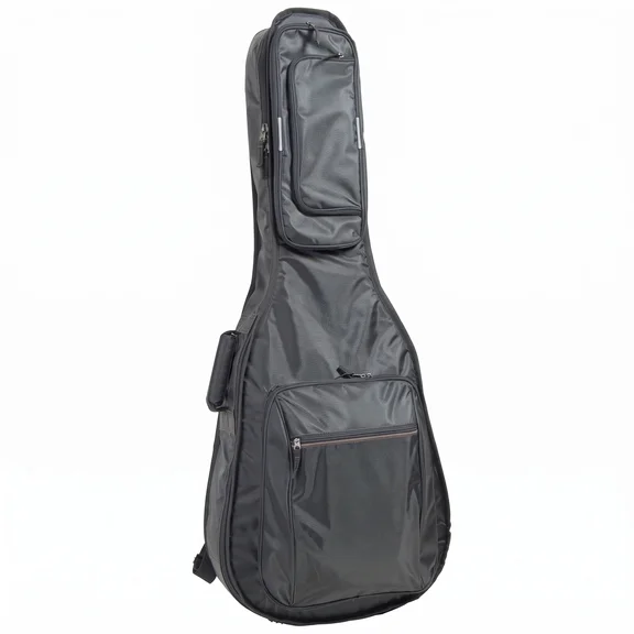 PROEL BAG210PN Чехол для акустической гитары - 0