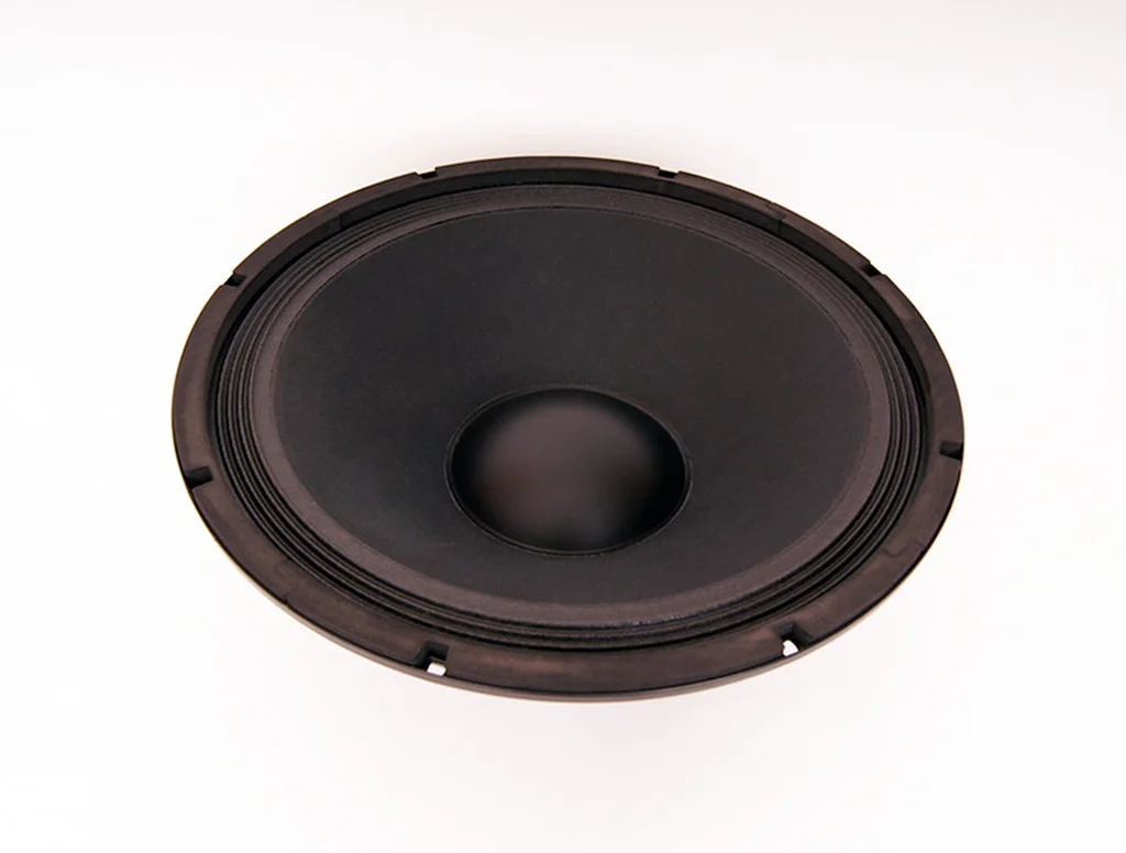 SOUNDKING FB1501H Динамик НЧ-СЧ